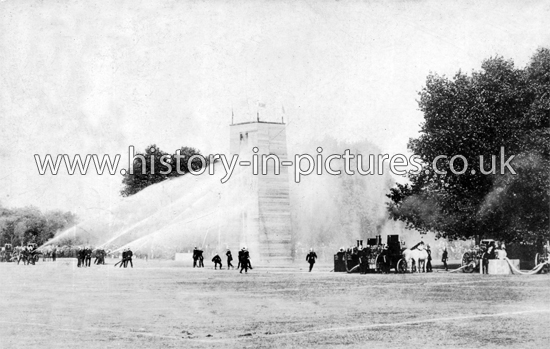 Steamers at Work - LFB Review, Victoria Park, Hackney, London. c.1905.
